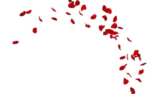 Red rose petals fly in a circle. The center free space for Your photos or tex Stock Illustration
