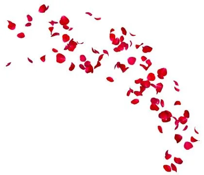 Red rose petals fly in a circle. The center free space for Your photos or tex Stock Illustration