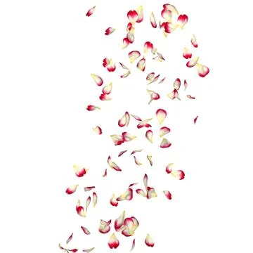 Red rose petals fly in a circle. The center free space for Your photos or tex Stock Illustration