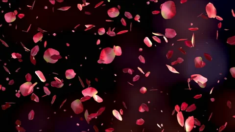 Red rose petals flying on beautiful black background Video stock 169640468