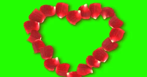Red rose petals flying for composing red heart shape of petals on chroma key Stock Footage 103089602
