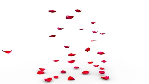Red rose petals flying on the floor on both sides Stock Footage 85907609