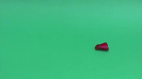 Red rose petals Vídeos de archivo 30442400