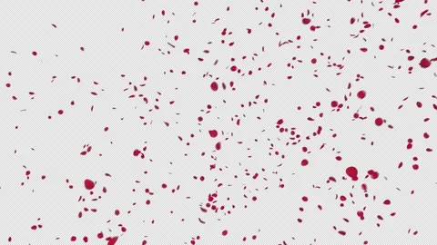 Red Rose Petals Stock Footage 229911698
