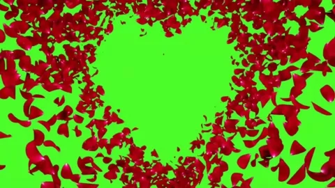Red Rose Petals Heart Shape Tunnel Green Screen Chroma Key Video stock 341588675