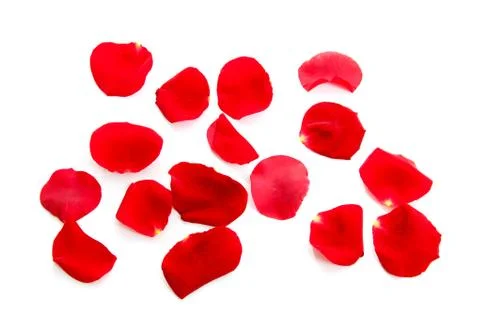 Red rose petals Foto stock