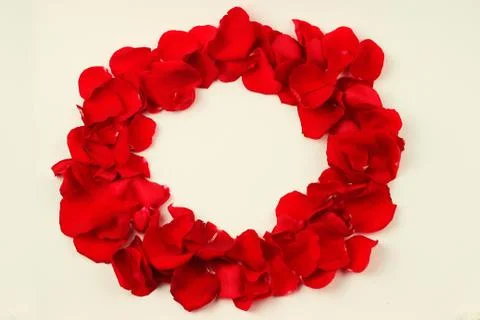 Red rose petals in the shape of a circle. Romantic symbol on a white background Stock Photos