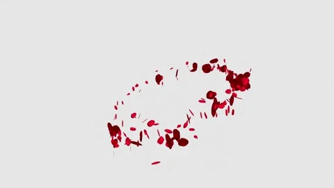 Red rose petals that spin and appear as if by magic (with Alpha Channel) Stock Footage 332930684
