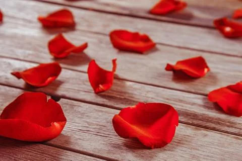 Red rose petals on a table Stock Photos