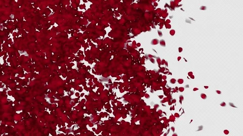 Red Rose Petals Twisting on Transparent Alpha Stockbeeldmateriaal 344616599