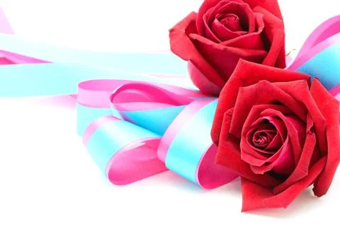 Red rose Stock Photos
