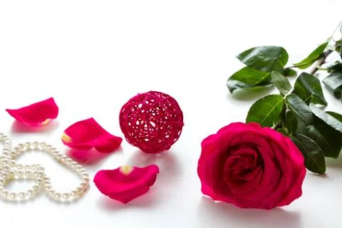 Red rose Stock Photos