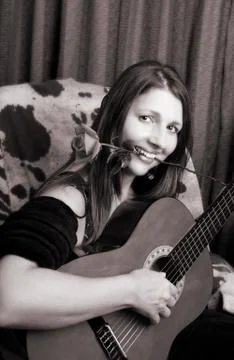 Red Rose Stock Photos