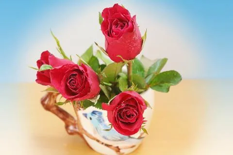 Red rose Foto stock