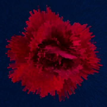 Red rose Stock Photos