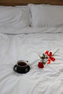 Red rose Stock Photos