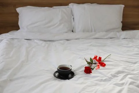 Red rose Stock Photos