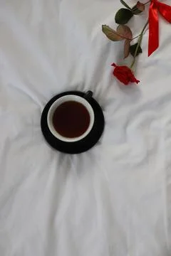 Red rose Stock Photos
