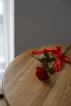 Red rose Stock Photos