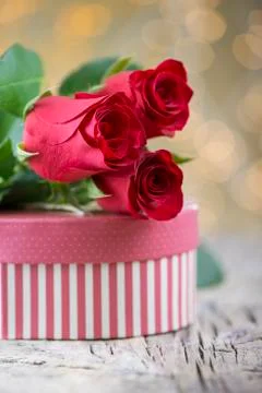 Red rose with present on beautiful background for Valentine's day Stock Photos