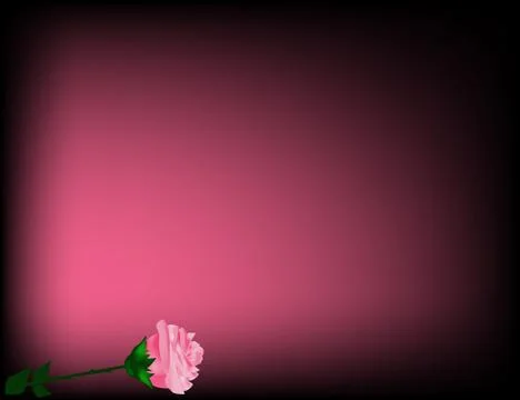 Red rose on the red background Stock Illustration