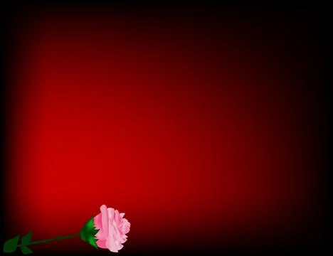 Red rose on the red background Stock Illustration