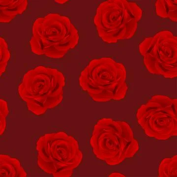 Red Rose on Red Background Stock Illustration