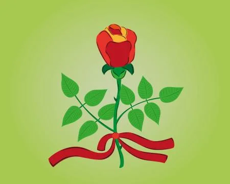 Red rose with ribbon Illustrazione stock