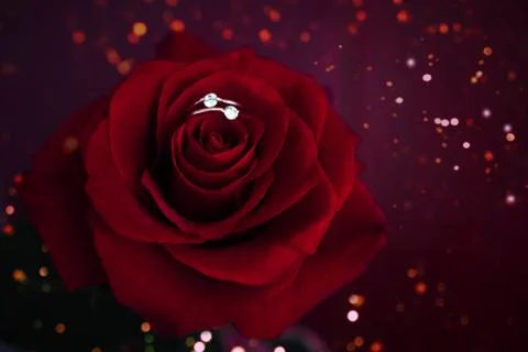 Red rose with ring on the blurred background. Stock Photos