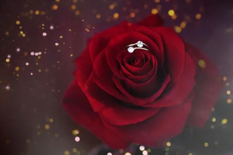 Red rose with ring on the blurred background. Stock Photos