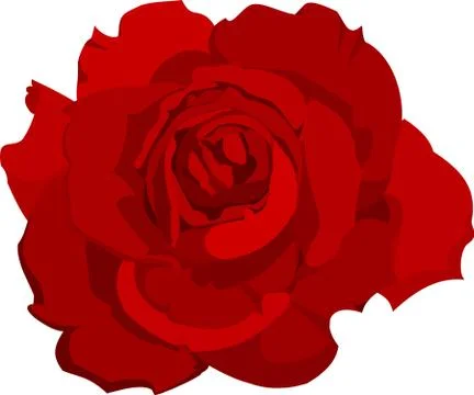 Red Rose, Simple Icon With Transparent Background Ilustración de archivo