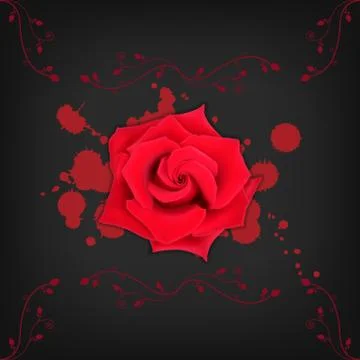 Red rose with splashes Stock Illustration
