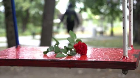 Red rose on swing in foreground, man passing in blurred background, slow motion. Stock Footage 53769015