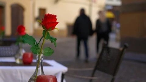 Red rose on a table 库存影片 333395437