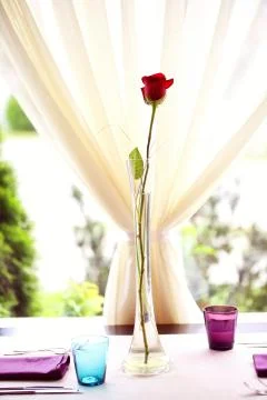 Red rose on table in a restaurant Stock Photos