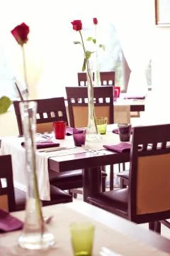 Red rose on table in a restaurant Stock Photos