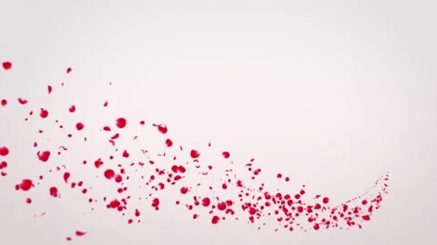 Red Rose Trail Line Stock Footage 263956458