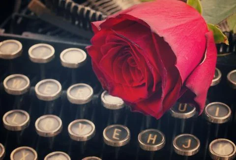 Red rose on typewriter Stock Photos