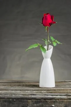 Red rose in vase Stock Photos