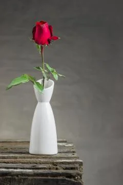 Red rose in vase Stock Photos