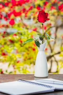 Red rose in vase Stock Photos