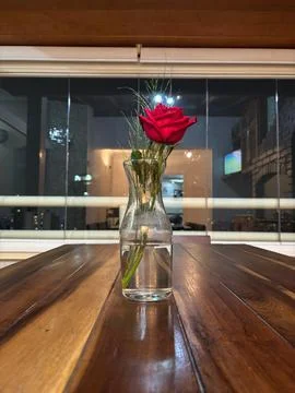 Red Rose in a Vase Stock Photos