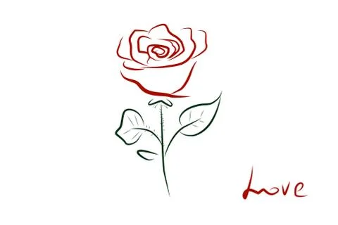 Red rose on a white background. Vector. Rose in simple lines. Minimalistic ro Illustrazione stock