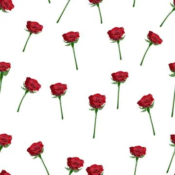Red rose wide buttons on the stem vector seamless pattern Stock Illustration