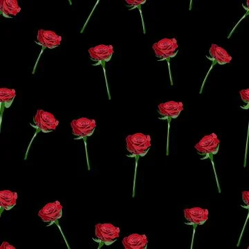 Red rose wide buttons on the stem vector seamless pattern on a black backgrou Stock Illustration