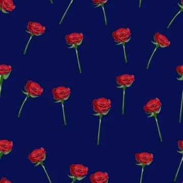 Red rose wide buttons on the stem vector seamless pattern on a dark-blue Stock Illustration