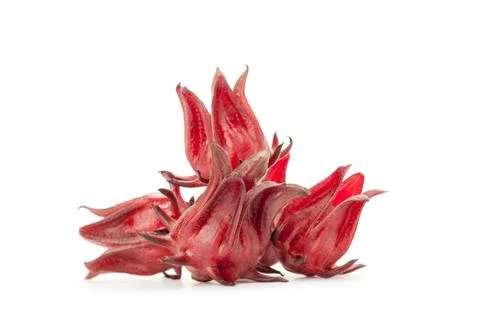 Red roselle isolated Stock Photos