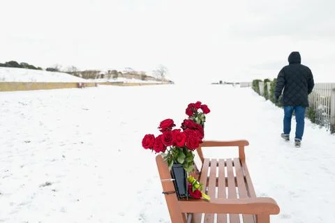 Red roses in a bench in memory of a loved one. Stock Photos