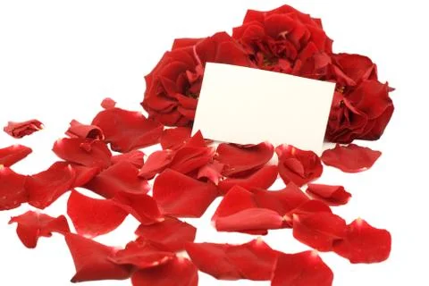 Red roses with a blank note Stock Photos