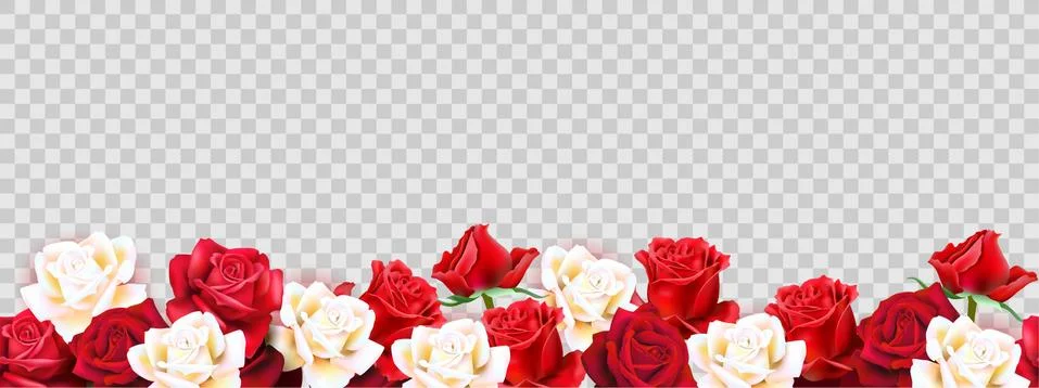 Red roses border Stock Illustration